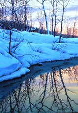 Winter Stream, by Alexei Butirskiy
