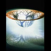 Tree Bowl, by Bernard Katz
