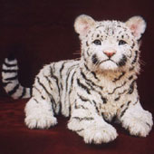 Newborn White Tiger