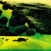 Herd of Horses, by Eyvind Earle